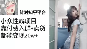 知乎小众性癖项目,Lsp的钱才是最好赚的,付费建群+卖货变现20w-木子项目网