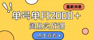 咸鱼虚拟资料新模式,月入2w+,可批量复制,单号一天50-60没问题 多号多撸-木子项目网