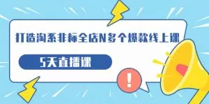 打造-淘系-非标全店N多个爆款线上课,5天直播课-木子项目网