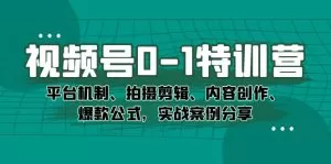 视频号0-1特训营:平台机制、拍摄剪辑、内容创作、爆款公式,实战案例分享-木子项目网