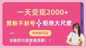 一天收款2000元,男粉不封号拒绝大尺度-色粉全新的变现方法-木子项目网