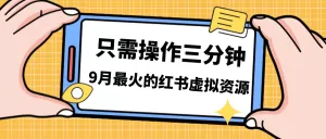 一单50-288,一天8单收益500+小红书虚拟资源变现,视频课程+实操课-木子项目网
