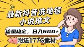 最新抖音洗地毯小说推文,流量稳定,一天收入600-木子项目网