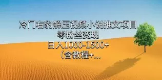 冷门右豹解压视频小说推文项目，零粉丝变现，日入1000-1500+-木子项目网