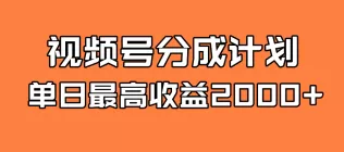 全新蓝海 视频号掘金计划 日入2000+-木子项目网