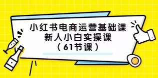 小红书电商运营基础课，新人小白实操课-木子项目网