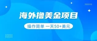 撸美金项目 无门槛 操作简单 小白一天50+美刀-木子项目网