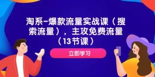 淘系-爆款流量实战课(搜索流量),主攻免费流量-木子项目网