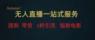 无人直播全套服务，变现稳定-木子项目网