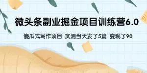 微头条副业掘金项目训练营6.0:傻瓜式写作项目 实测当天发了5篇 变现了90-木子项目网