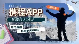携程APP薅羊毛，外面卖1980的冷门赛道，矩阵月入1.5w-木子项目网