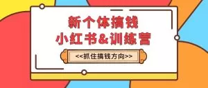 新个体·搞钱-小红书训练营:实战落地运营方法,抓住搞钱方向,每月多搞2w+-木子项目网