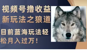 视频号撸收益新玩法之狼道，目前蓝海玩法轻松月入过万！-木子项目网