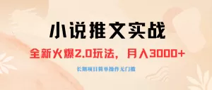 外面收费990的小说推广软件,零粉丝可变现,月入3000+,小白当天即上手-木子项目网