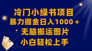 【全网首发】冷门小绿书暴力掘金日入1000＋，无脑搬运图片小白轻松上手-木子项目网