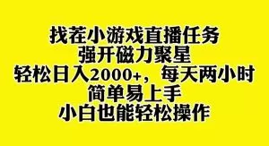 找茬小游戏直播,强开磁力聚星,轻松日入2000+,小白也能轻松上手-木子项目网