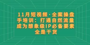 短视频·全案操盘手培训:打通自然流量 成为想象级IP必备要素 全是干货-木子项目网