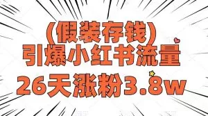假装存钱，引爆小红书流量， 26天涨粉3.8w，作品制作简单，多种变现方式-木子项目网
